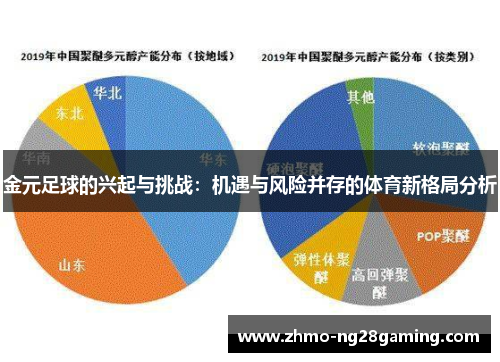 金元足球的兴起与挑战:机遇与风险并存的体育新格局分析 金元足球的兴起与挑战:机遇与风险并存的体育新格局分析