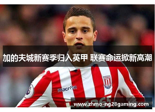 加的夫城新赛季归入英甲 联赛命运掀新高潮 加的夫城新赛季归入英甲 联赛命运掀新高潮
