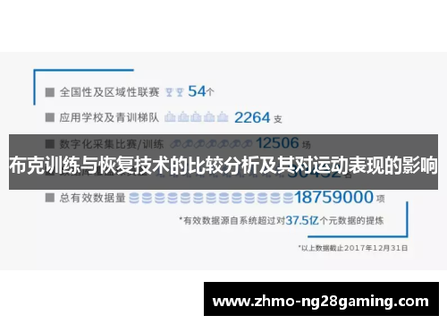 布克训练与恢复技术的比较分析及其对运动表现的影响