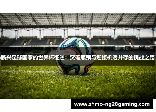 新兴足球国家的世界杯征途：突破瓶颈与迎接机遇并存的挑战之路