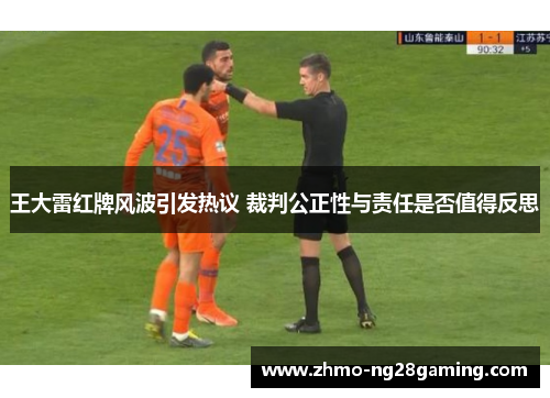 王大雷红牌风波引发热议 裁判公正性与责任是否值得反思