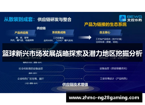 篮球新兴市场发展战略探索及潜力地区挖掘分析
