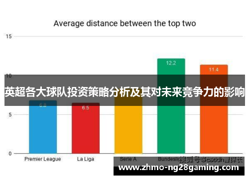 英超各大球队投资策略分析及其对未来竞争力的影响