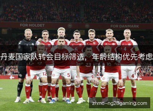 丹麦国家队转会目标筛选,年龄结构优先考虑 丹麦国家队转会目标筛选,年龄结构优先考虑