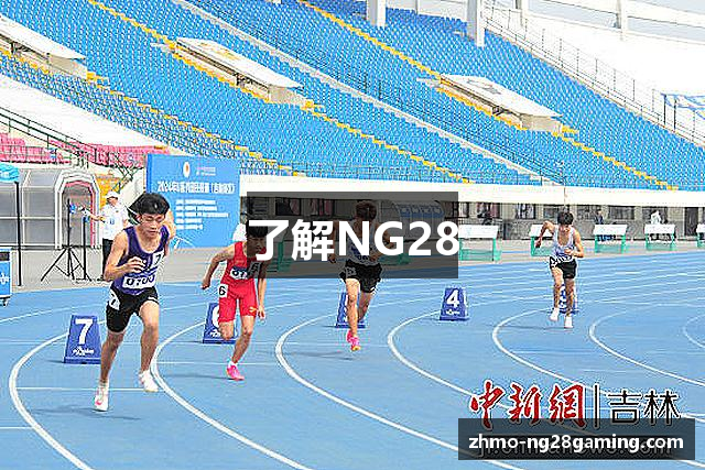 了解NG28